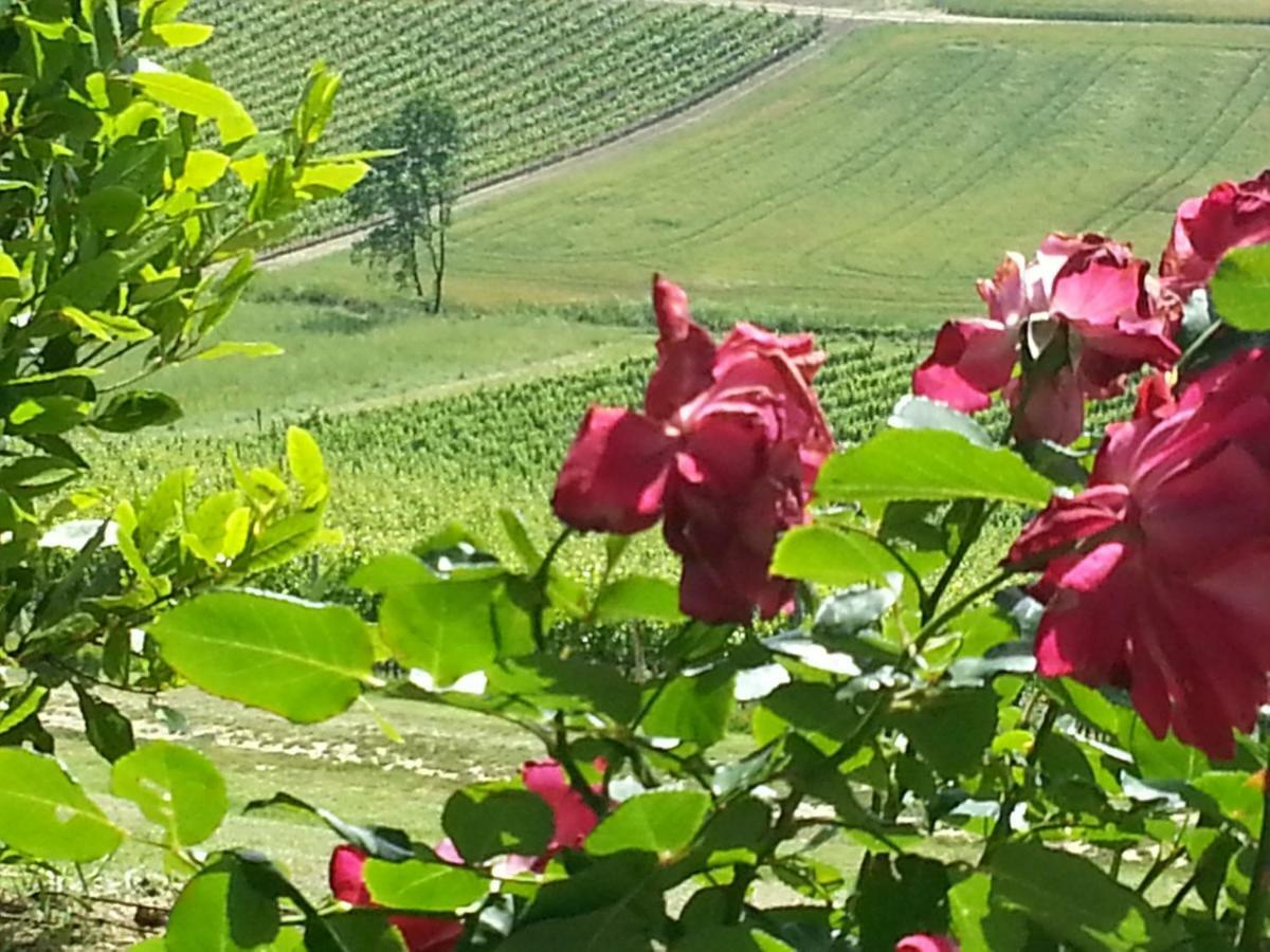 Casale Di Valle Villa Vinci Exteriör bild