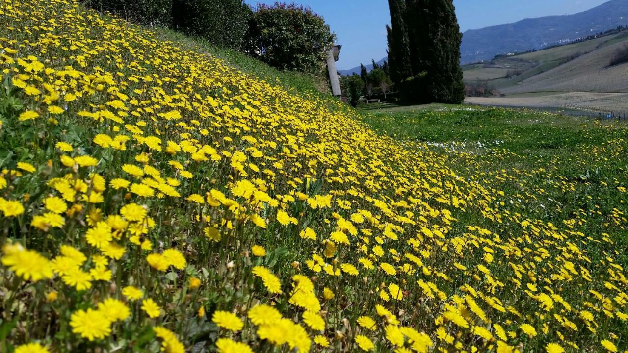 Casale Di Valle Villa Vinci Exteriör bild