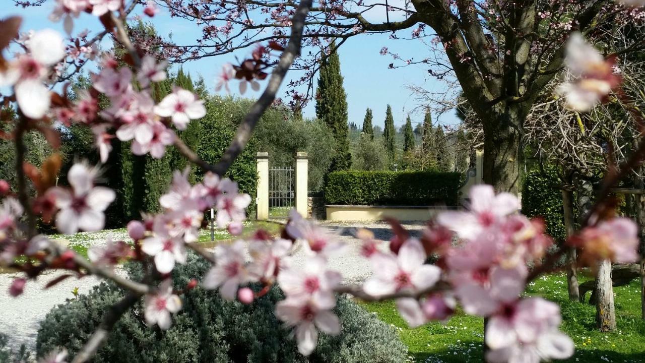 Casale Di Valle Villa Vinci Exteriör bild