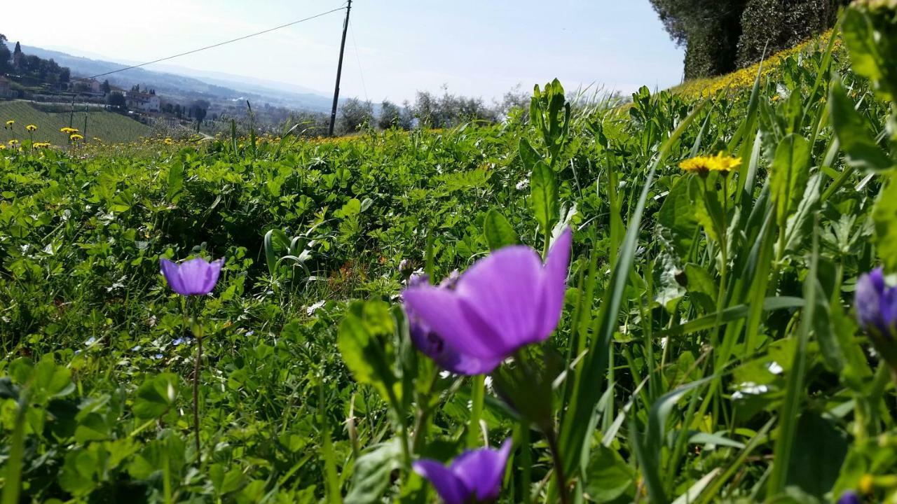 Casale Di Valle Villa Vinci Exteriör bild