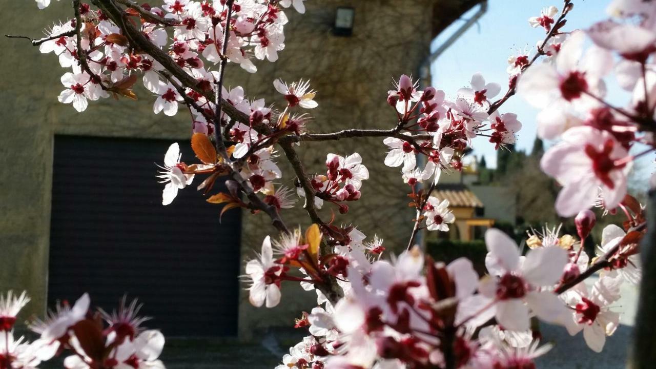Casale Di Valle Villa Vinci Exteriör bild