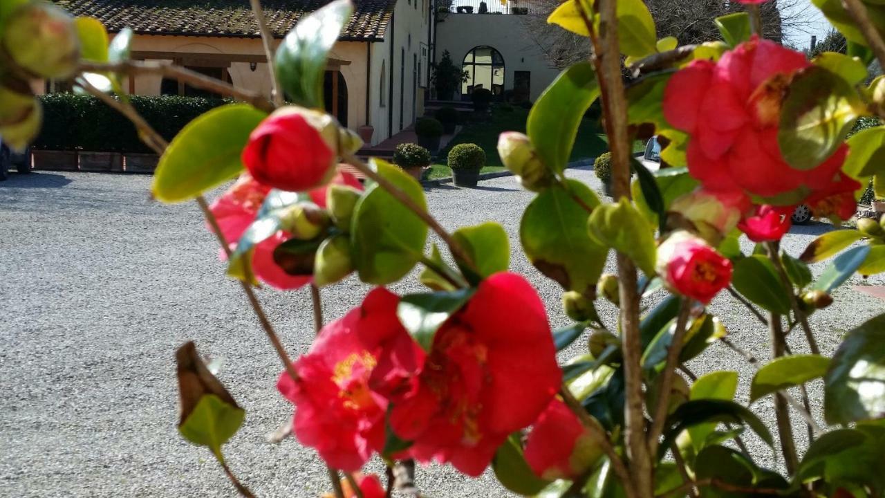Casale Di Valle Villa Vinci Exteriör bild